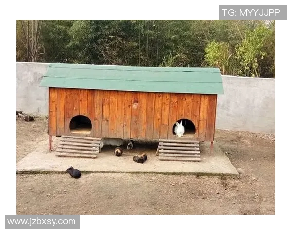 兔子与足球明星的奇妙联系揭示了运动与文化的深厚渊源